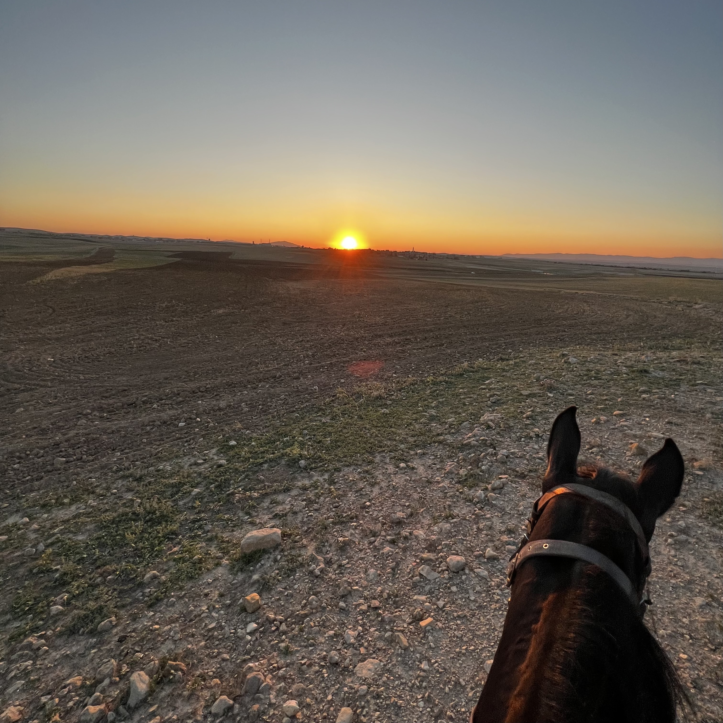 Horse riding 1