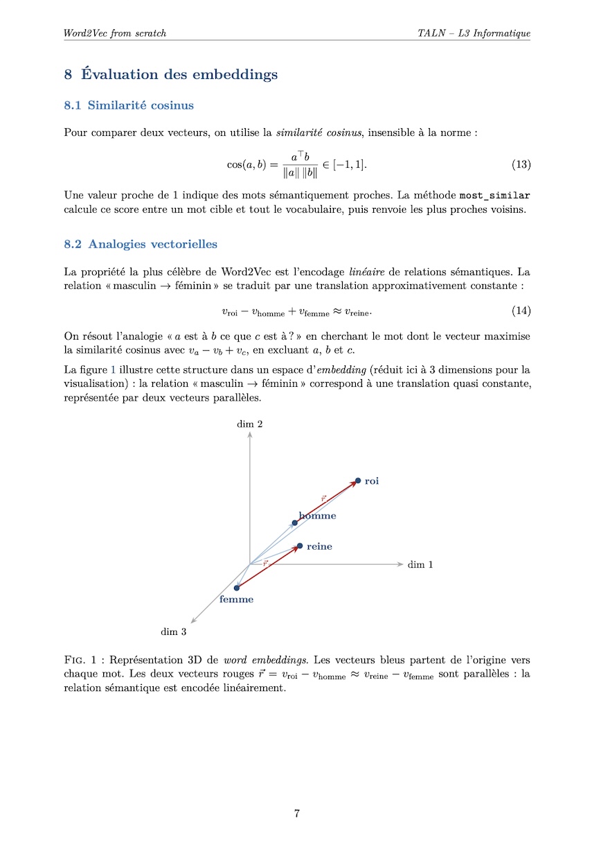 Word2Vec From Scratch
